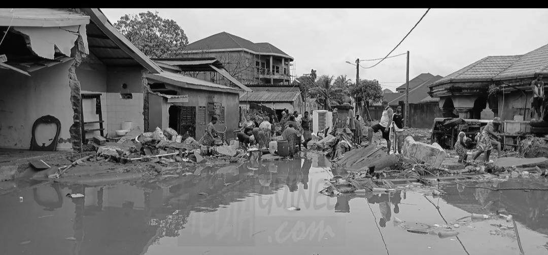 Fighting Climate change: From the ground up